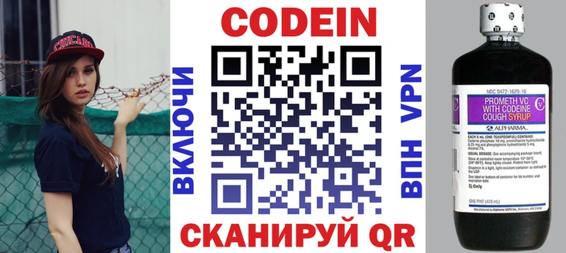 Codein напиток Lean (лин)  Купить закладки  Николаевск 