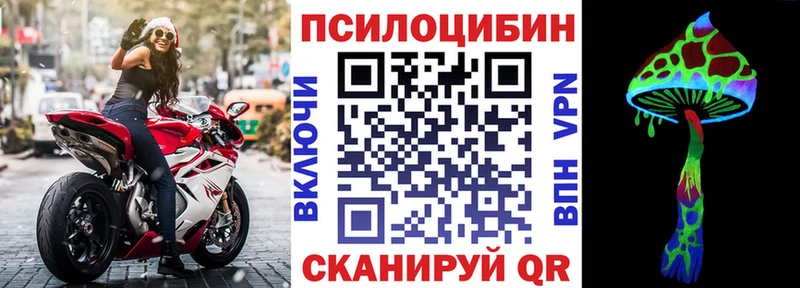 Псилоцибиновые грибы Magic Shrooms  Купить закладки  Николаевск 